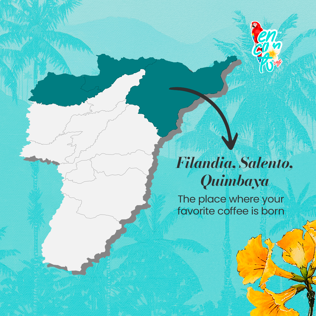 Café Quindío Blend Espresso - Image 5