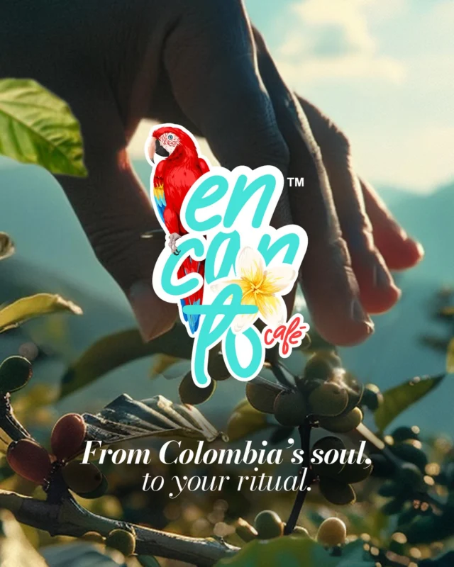 From the Colombian mountains to your cup… ☕️ We’re about to share an authentic experience filled with tradition, quality, and that encanto you’ll fall in love with.The best of Colombian coffee is on its way! 🇨🇴#CoffeeWithSoul #EncantoCafé #ColombianFlavor
