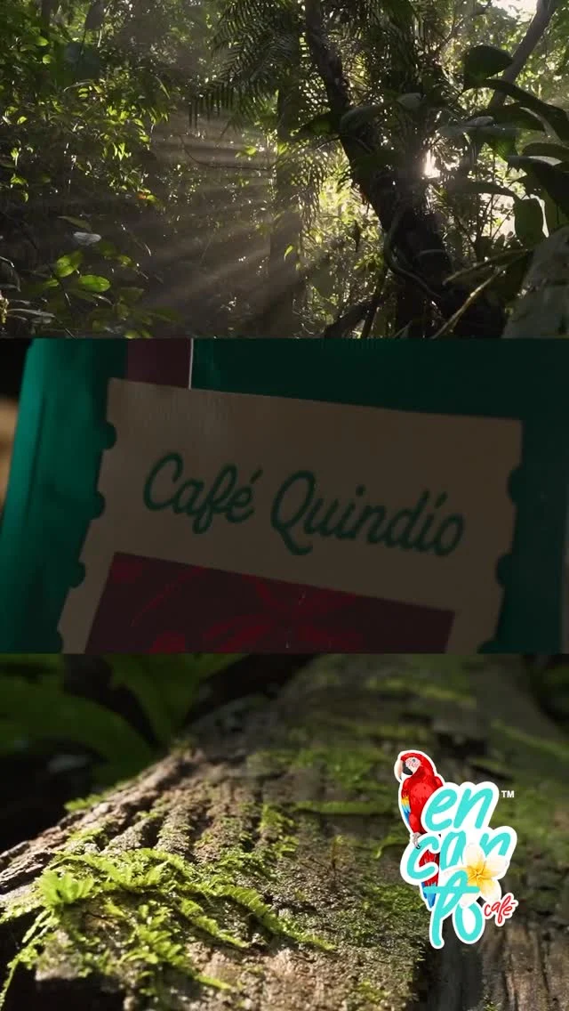 ✨ Coffee isn’t just something you drink… it’s something you live.Moments like this remind us why every sip matters.☕🌿 At Encanto Café, we celebrate the best of Colombian coffee—and we’re proud to bring the magic of Café Quindío to your home.Enjoy our special micro-lots with irresistible notes of Honey, Chocolate, and Vanilla—roasted at origin and carefully selected with love.Discover your favorite and begin your ritual today.💛 From Colombia, straight to your soul.📍Available at: www.encantocafestore.com#EncantoCafé #CaféQuindío #CoffeeLovers #ColombianCoffee #FromColombiaWithLove #YourRitualBeginsHere