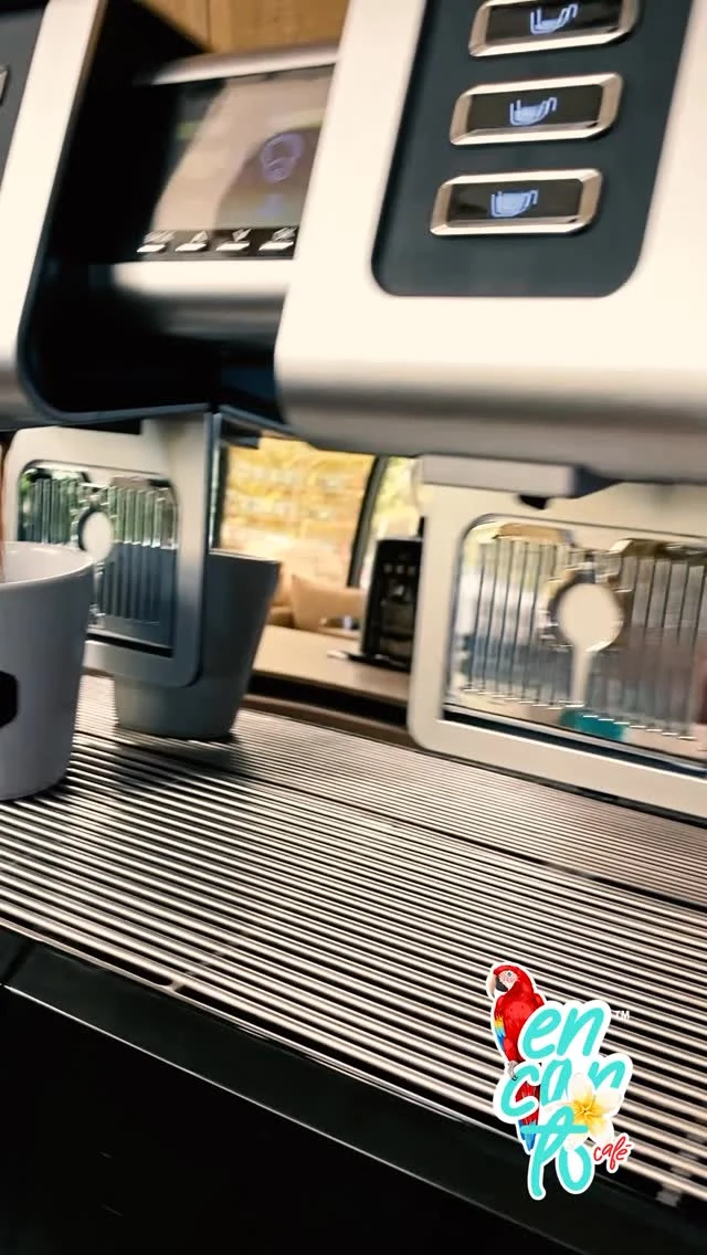 There’s no better way to wrap up the afternoon —and the week— than with a delicious Quindío Coffee and some sweet meringues. ✨☕
A little charming treat to recharge your soul.

From Encanto Café, we invite you to enjoy the moment you truly deserve. 💛

#EncantoCafe #QuindioCoffee #SweetMoment #ColombianCoffee #GoodCoffeeGoodVibes