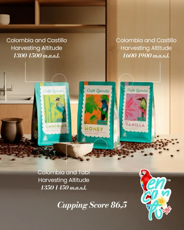 Discover the true flavors of Quindío with our Specialty Harvest Tripack — a curated selection of three exceptional coffees from Córdoba, Salento, and Circasia.

✨ Milk Chocolate: creamy notes of chocolate, cocoa, and brown sugar.
 ✨ Sweet Vanilla: hints of vanilla, pear, white caramel, and a soft ice-cream touch.
 ✨ Mild Honey: smooth honey sweetness with a fruity strawberry finish.

Each origin is a tribute to the land, crafted with passion and tradition to deliver a full sensory experience in every cup.

Find them now at www.encantocafestore.com and elevate your daily ritual with the best of Quindío. ☕💛