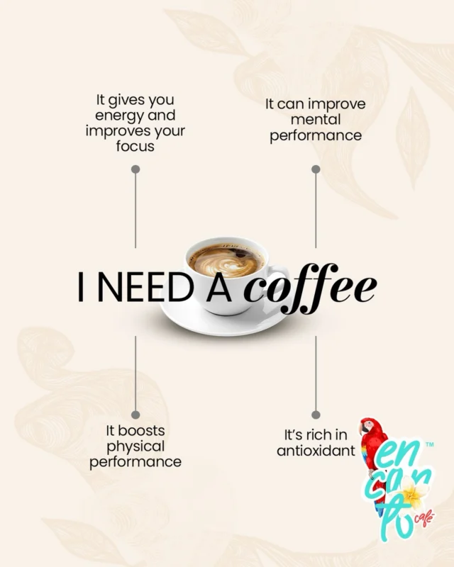 At Encanto Café, we truly believe coffee is more than just a drink… it’s a daily ritual. ☕💛

A good cup of coffee can give you the energy you need, improve your focus, boost your mental performance, and even support physical performance. ✨

 And yes—coffee is also rich in antioxidants, which makes it even better.

So if today feels a little slow, stressful, or simply too much… this is your sign:

 ✨ Come by Encanto Café and treat yourself to the coffee you deserve.

Because every sip should feel like home. 🇨🇴🤎

#EncantoCafe #CoffeeTime #NeedCoffee