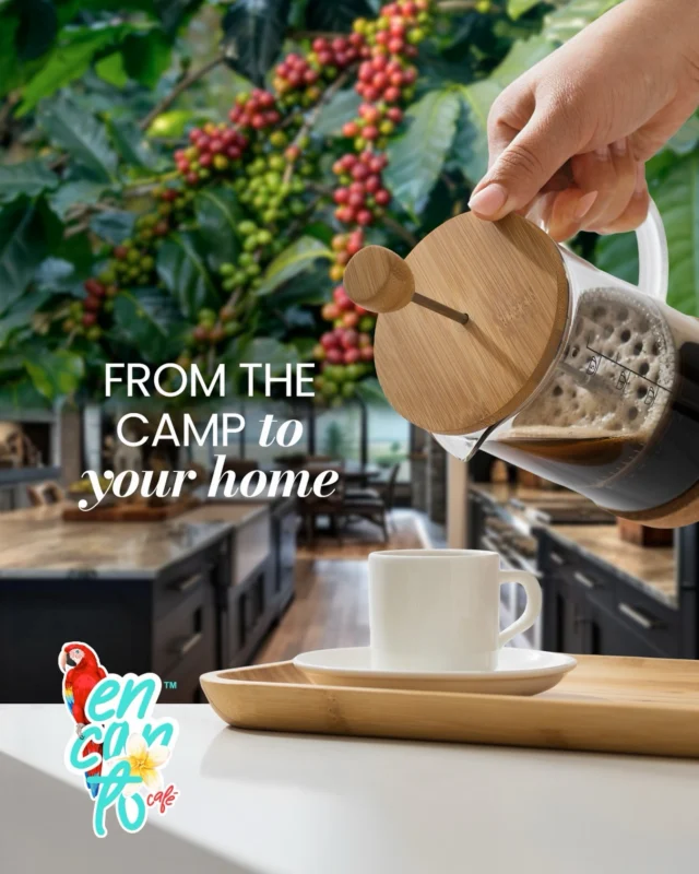 From the camp to your cup ☕✨

At Encanto Café, we bring the true essence of Colombian coffee straight to your home. Every cup tells a story—origin, dedication, and flavor you’ll fall in love with from the very first sip.

Enjoy authentic, single-origin coffee, perfect for your favorite moments 🤎

🌱 100% Colombian Coffee
 🏡 From farm to your home

#EncantoCafe #ColombianCoffee #CoffeeLovers