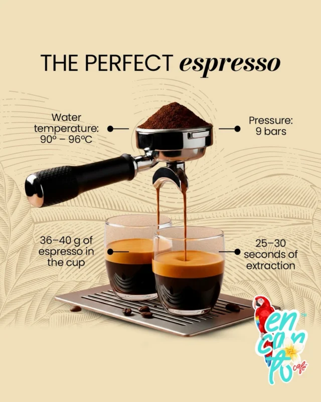 We believe a great espresso isn’t luck… it’s precision ☕️✨

From the perfect temperature to the exact extraction time, every detail matters to create an unforgettable cup.

Because behind every perfect espresso, there’s a passion for Colombian coffee 🇨🇴

Have you had yours today?

#EncantoCafe #PerfectEspresso #ColombianCoffee #EncantoCafeStore