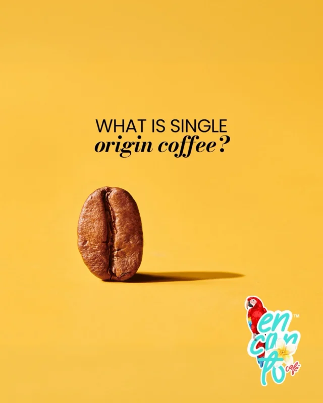 Single-origin coffee isn’t just a label—it’s a story you can taste ☕️✨

One farm. One region. One truth in every cup.

 A reflection of origin, care, and authenticity in every sip 💛

#EncantoCafe #SingleOrigin #ColombianCoffee #EncantoCaféStore