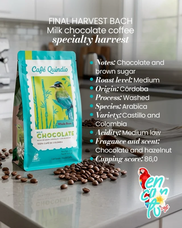 Discover the perfect balance in every cup ☕✨

Our Colombian Specialty Coffee – Milk Chocolate Notes | Café Quindío is a controlled-origin edition that connects us with Colombia’s coffee tradition and the passion found in every corner of Quindío 🇨🇴💛

With a medium roast, smooth citric acidity, and rich notes of cocoa, chocolate, and brown sugar 🍫🌿, every sip becomes a unique experience.

Get yours now 👉 www.encantocafestore.com

At Encanto Café, every bean tells a story… have you tasted yours yet? ✨

#EncantoCafe #CafeQuindio #ColombianCoffee #EncantoCafeStore
